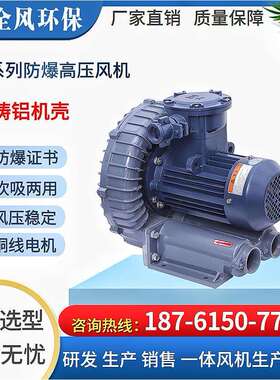 FBZ-93D 15kw/380v CT4/BT4气体防爆高压风机 粉尘防爆鼓风机厂家