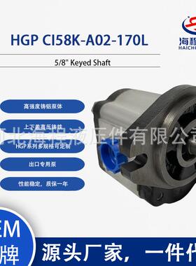 HGP CI58K-A02-170L 液压泵 出口专用 5/8
