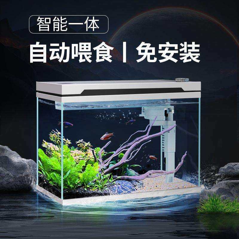 2025新款自动喂食免换水免安装恒温除菌生态超白玻璃客厅小型鱼缸