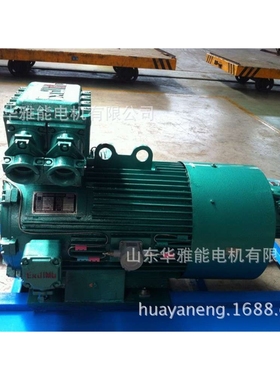 YZRE225M-8-22KW电机IP66防护等级YZR等级B35标准双伸轴415V/50HZ