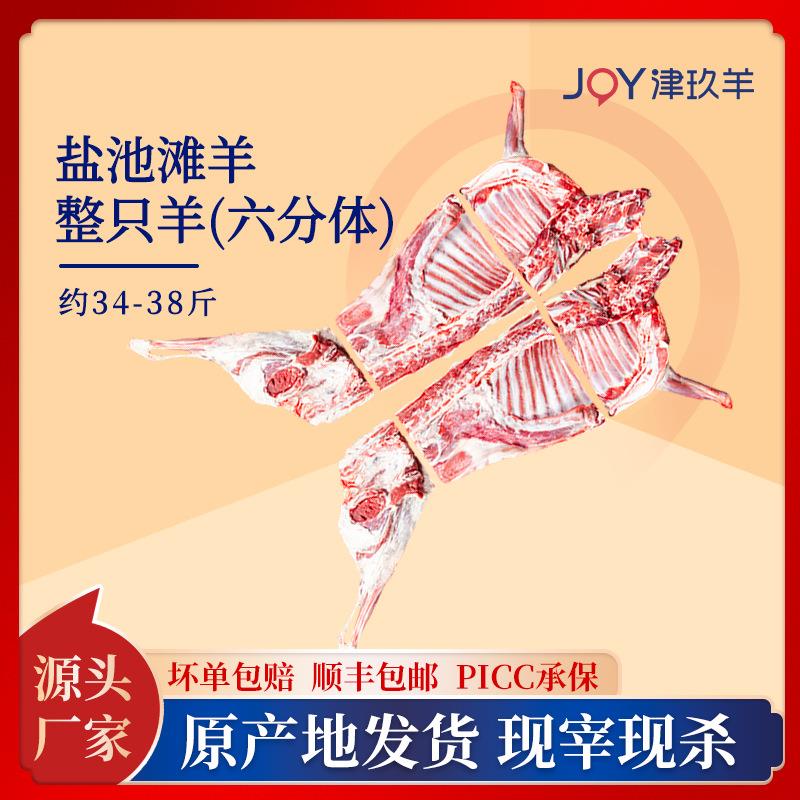 宁夏盐池滩羊肉整只羊六分体现杀羊羔新鲜去皮冷冻全羊烤全羊食材