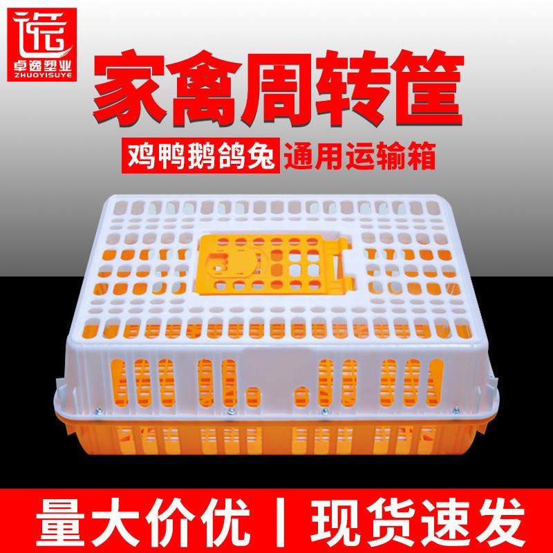 鸡笼运输笼大号加厚塑料家禽坚固不变形鸡鸭鹅兔鸽周转笼子鸡笼门