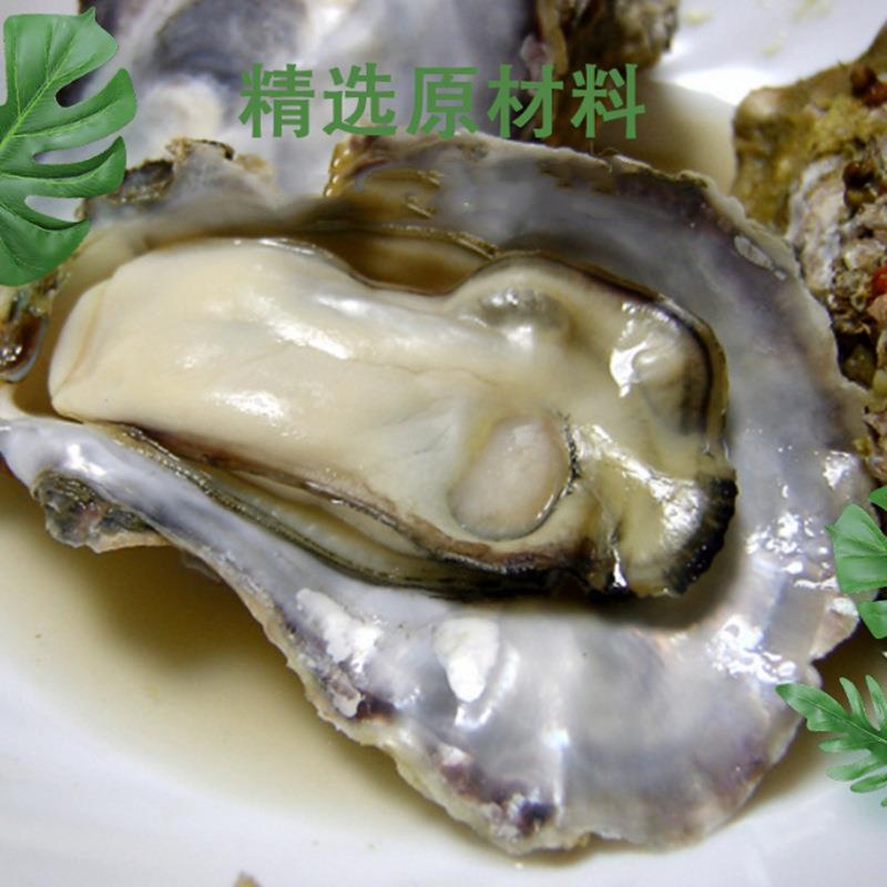 牡蛎肽 牡蛎低聚肽 牡蛎提取物 小分子肽 250g/袋起订