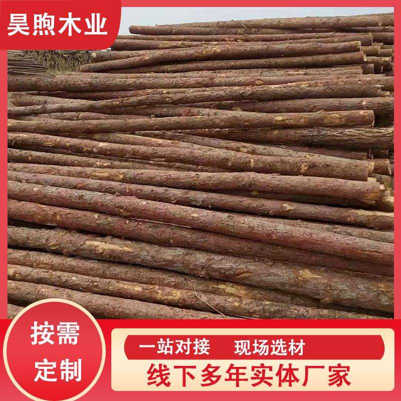 落叶松原木河道打桩木防汛围岸白松松木桩绿化支撑杆木质电杆