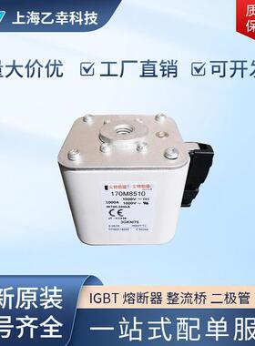 巴斯曼熔断器 170M7969 170M7975 170M7978 170M8330 170M8503