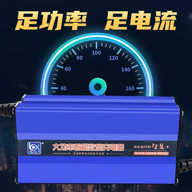 电动叉车充电器12V24V10A15A20A30A伏液压堆高车搬运升降机洗地机