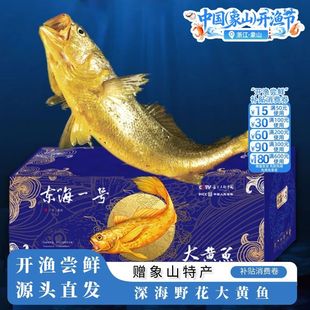 【象山原产地特产】海鲜东海一号大黄鱼深远海养殖渔场野化礼盒装