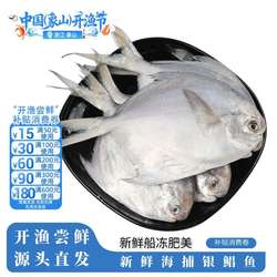 【象山原产地特产】海鲜鲳鱼流网鲜新鲜活冻鲳鱼平鱼鲳鳊鱼白鲳鱼