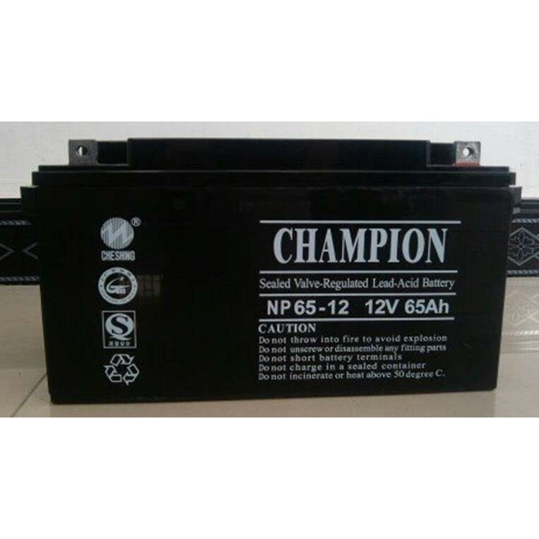 蓄电池 12V70AH 志成蓄电池 NP70-12