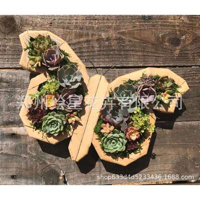 Animal Succulent Garden Arrangement花园装饰木制多肉花盆