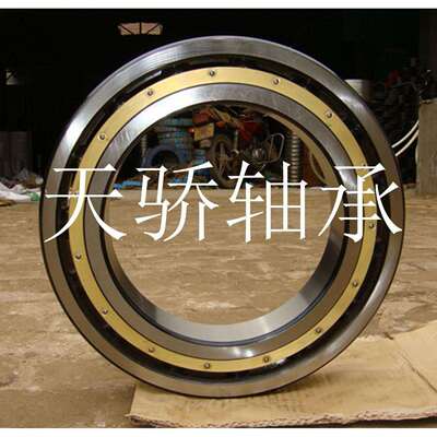 61830M 天骄薄壁轴承 TJU