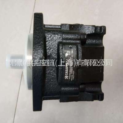 价格需核实 CASAPPA 泵 型号：PLM20.11,2R0 54B2 LGD/GD N