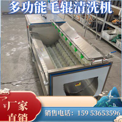 商用黄岑苦参龙胆麦冬毛辊去皮清洗机半夏何首乌当归桔梗脱皮设