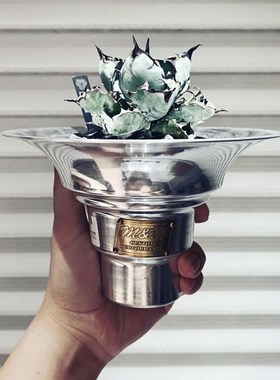 Masses m&m 龙舌兰块根沙生植物多肉J金属花盆木村拓哉同款手工盆
