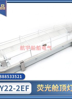 船用荧光舱顶灯JCY/ZYC22/32/42-2/2E/2EF防水双管带应急防护网罩