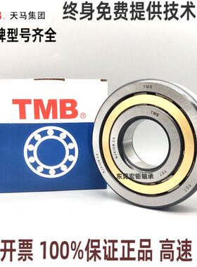 天马TMB圆柱高速轴承NJ/NU2204 2205 2206 2207 2208 220910EM/C3