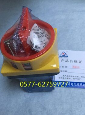 LW30-63 300010 LW30-40 LW30-80转换开关 电源切断开关