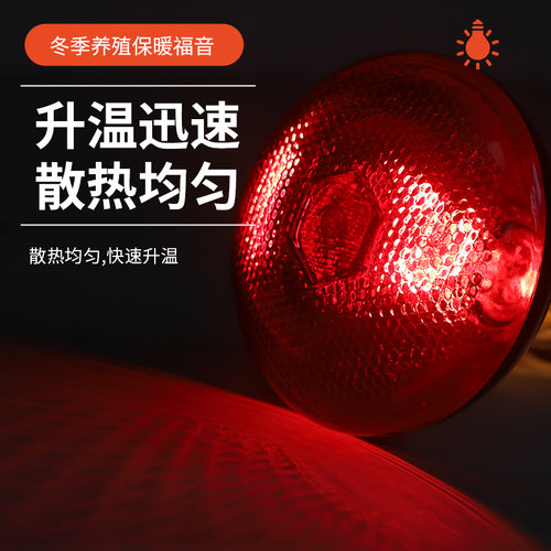 猪用保温灯养殖场取暖灯泡小鸡育雏加热烤灯防水防爆兽用养殖
