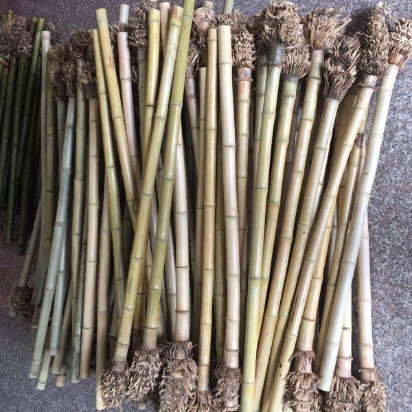 精品桂竹箫料 尺八箫材箫料,乐器/吉他/钢琴/配件,箫,淘宝优惠券,粉丝福利购,淘宝优惠卷