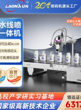 领迅2411M自动流水线桌面式喷码打生产日期传送带小型打码一体机