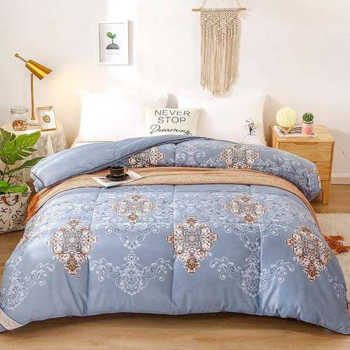 蚕被桑丝被子冬天被冬季10棉被春被秋丝冬被加厚双人F97TJ6SH被芯