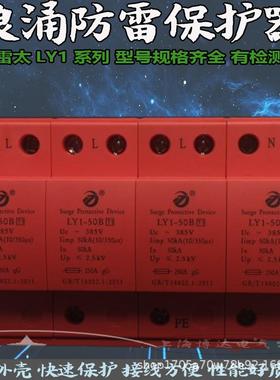 T一级电泳浪涌1保护器LY1-12.5箱/1LY1-12.55/25/50配B电防雷器10
