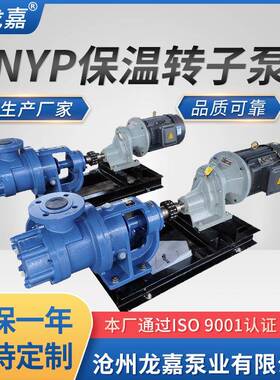 高粘度转子泵浆NP保温转子泵Y蜂蜜721泵糖泵白胶乳泵树脂泵涂料泵