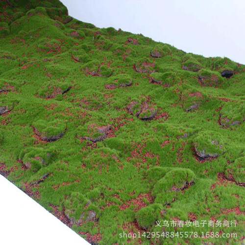仿咨询客服坪真苔草藓草微景观坪室内苔藓草皮场景橱窗造景景观假