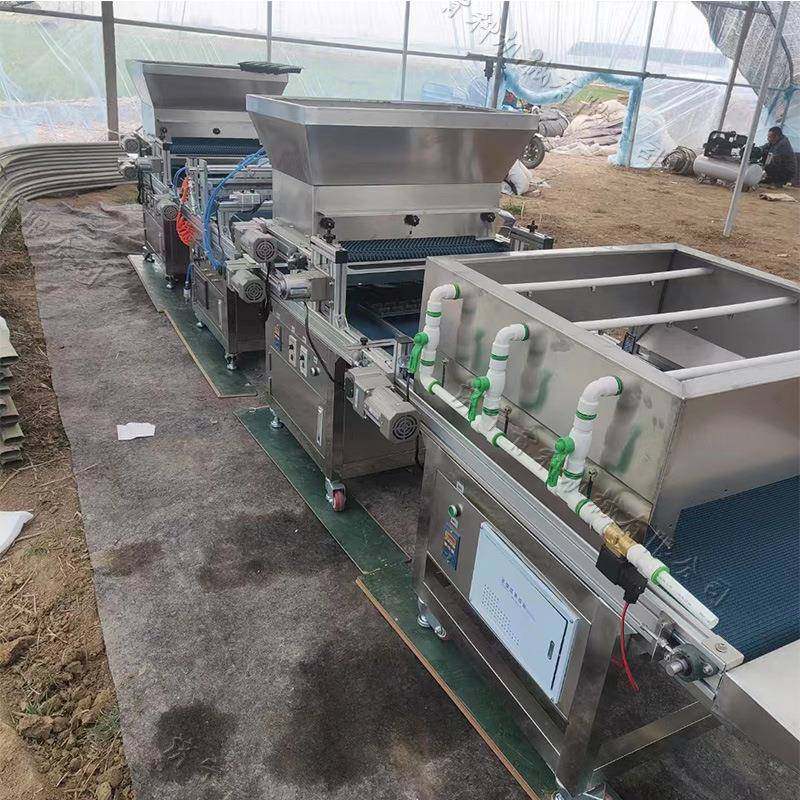 云南贵州地区花漂木种植种机全自动VFE穴育苗盘机农用播蔬菜盘种,农机/农具/农膜,播种栽苗器/地膜机,淘宝优惠券,粉丝福利购,淘宝优惠卷