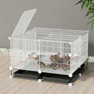 鸭笼子家用室内柯尔鸭宠物养鸭子的笼子养殖笼特大鸡笼子鸡鸭鹅