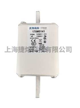 170M5141 170M5142 快速熔断器  保险丝 电子元器件 量大价优