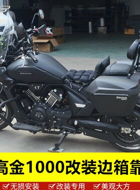 适用于高金V1000摩托车边箱w改装配件尾架雷神1000货架侧靠背尾箱