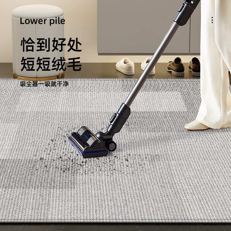门口地垫进门家用高级简约脚垫门外可擦免洗玄关垫可裁剪门厅地垫