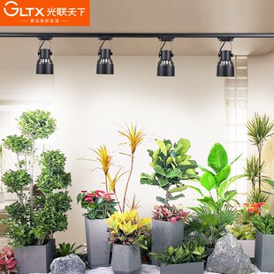 光联天下 室内h植物补光灯客厅植物墙热植花卉绿植生长LED轨道射