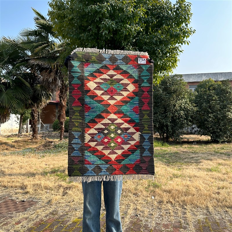 8折宠粉新品阿富汗羊毛手工编织地毯入户毯进门毯60*90cm左右