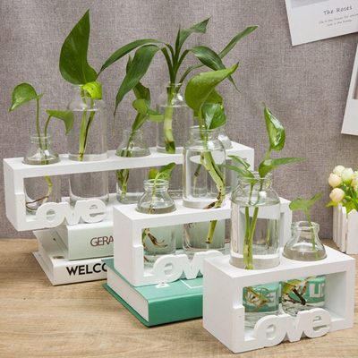 桌面摆件水培植物玻璃花瓶小清新创意客厅装饰品透明绿萝插花容器