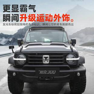 坦克300发光车标带灯中网标灯LED流光装饰灯外饰改装配件车载用品