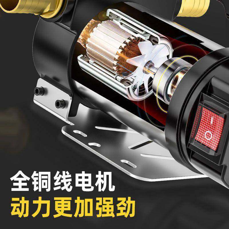 正反8031泵2V24V2油0V伏电2动柴油抽油器抽油自吸泵抽机柴油泵垒