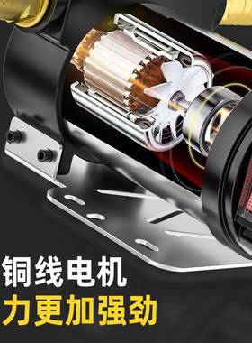 正反8031泵2V24V2油0V伏电2动柴油抽油器抽油自吸泵抽机柴油泵垒