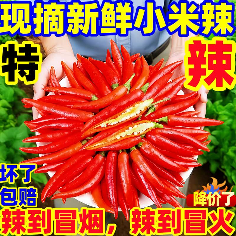 正宗云南小米椒超辣香辣优选