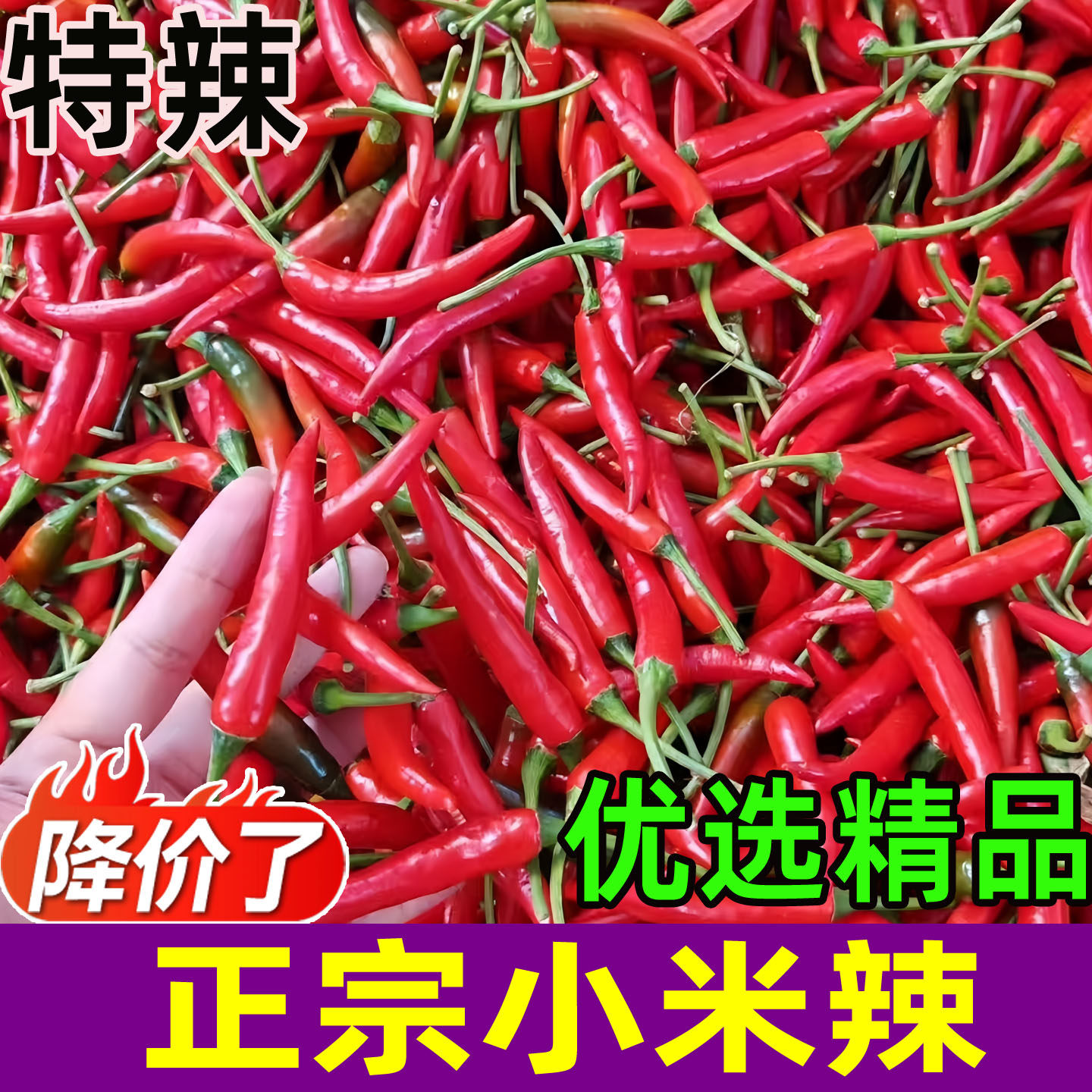 正宗云南小米椒超辣香辣优选