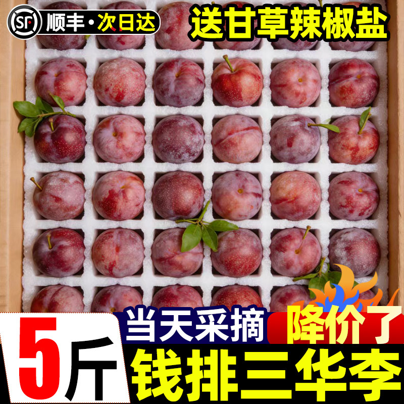 正宗广东钱排红心三华李新鲜5斤当季现摘大果酸甜李子三月孕妇李