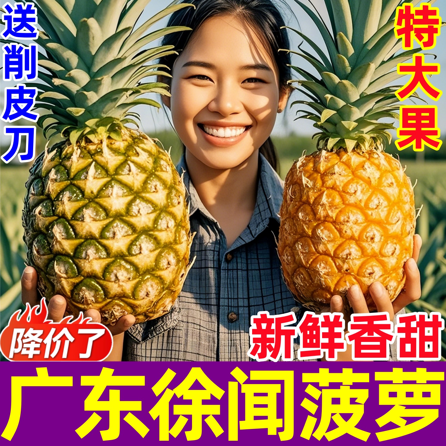 广东徐闻菠萝新鲜采摘香甜多汁