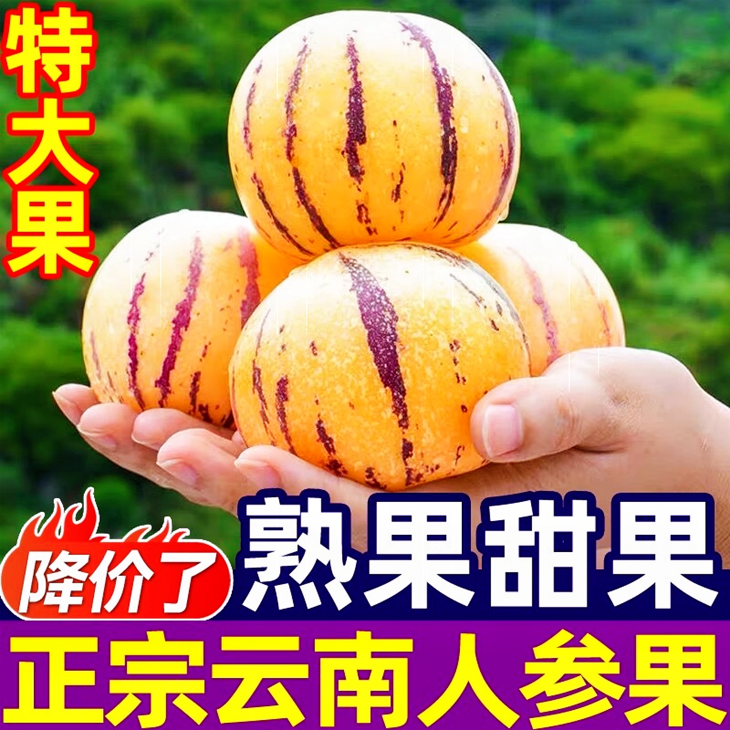 云南石林人参果10斤新鲜水果娃娃黄肉人心果人生果圆果当季整特产