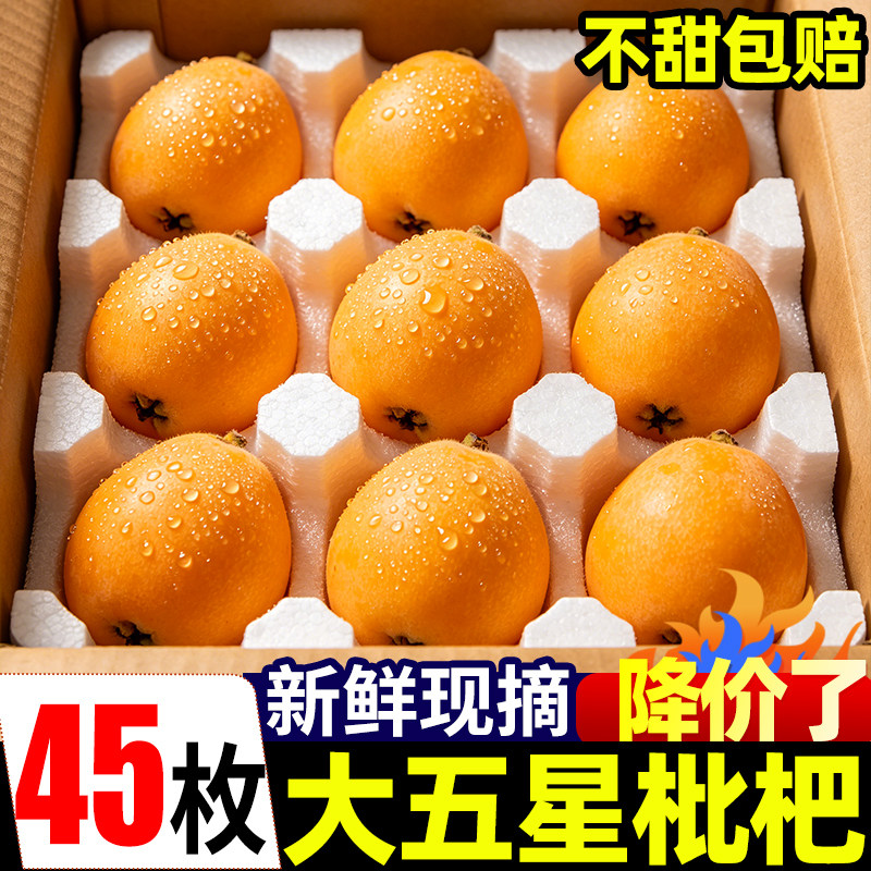 四川大五星枇杷45枚新鲜现摘米易枇杷琵琶大果当季鲜果整箱包邮