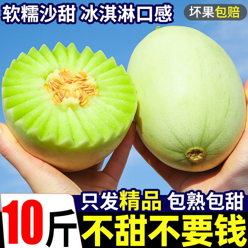 山东潍坊冰淇淋玉菇当季新鲜甜瓜