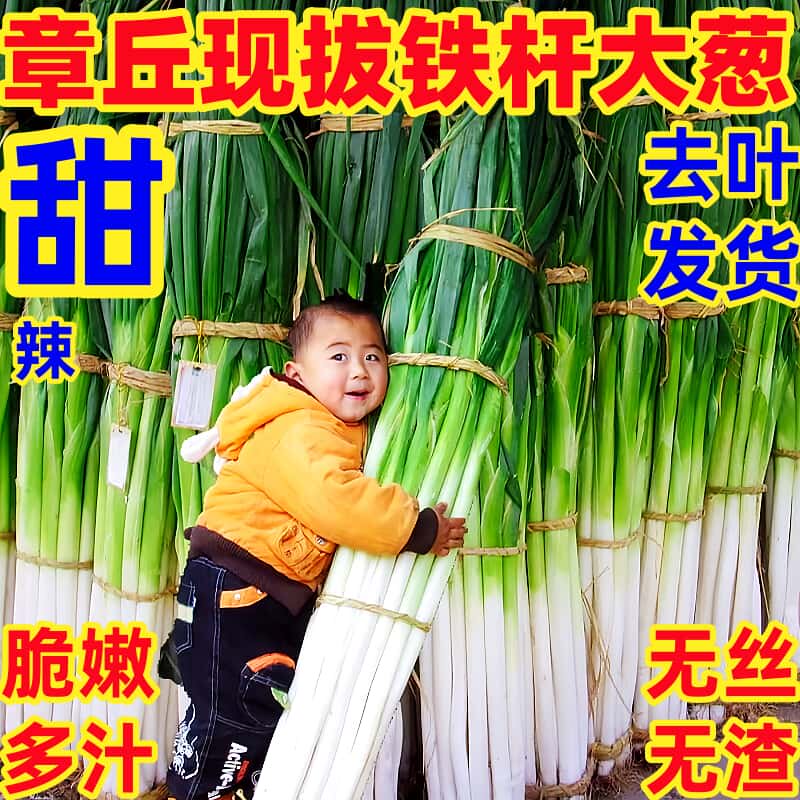 正宗山东章丘铁杆大葱10斤新鲜蔬菜批发甜葱蘸酱嫩葱当季新葱整箱