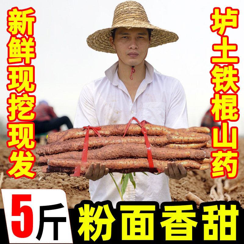 河南温县垆土铁棍山药5斤新鲜