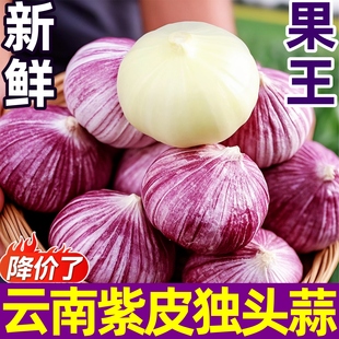 2025云南独头蒜干大蒜头新鲜干蒜紫皮圆头独蒜红辣蒜5斤蔬菜当季