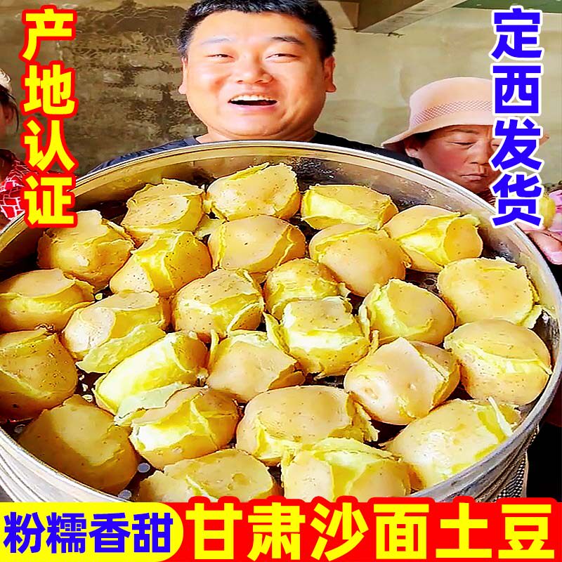 甘肃定西黄心沙面现挖土豆10斤
